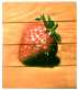 fraise aero1.JPG (1831 octets)
